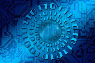 乐鱼体育网址-大数据应用助力训练科学管理，大数据在训练管理中的应用